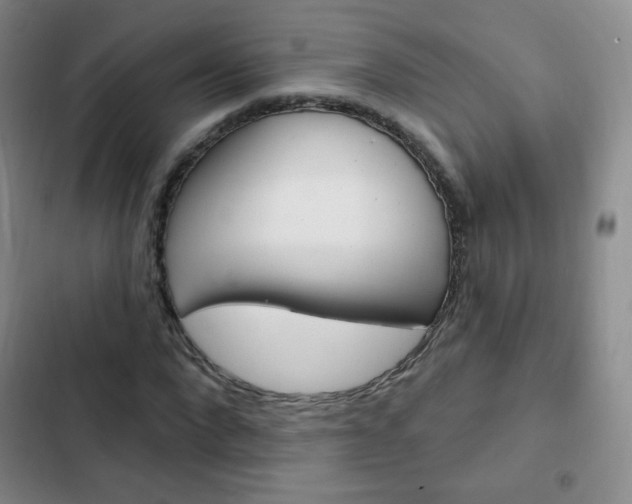 X0000103150872200808221126
