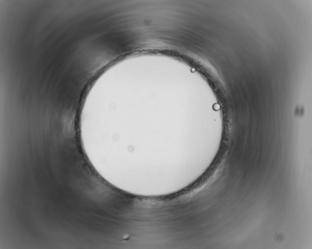 X0000103150873200808221126