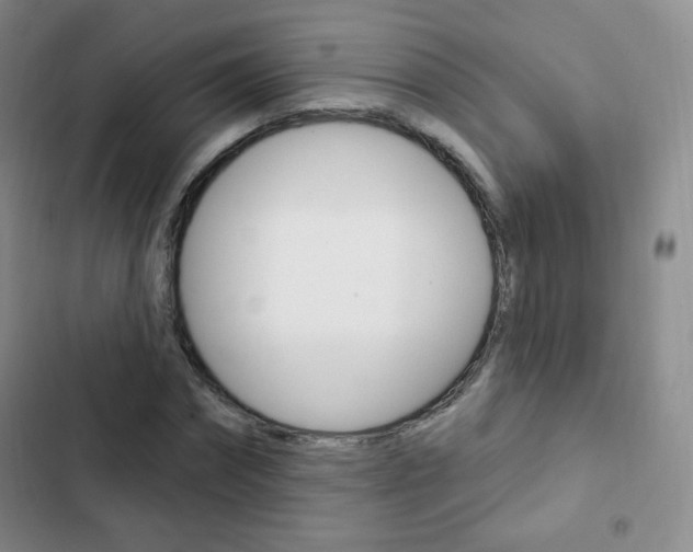 X0000103150874200808221126