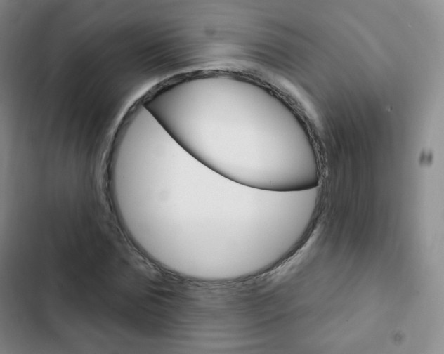 X0000103150875200808221126