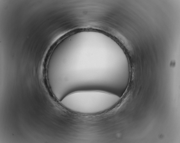 X0000103150876200808221126