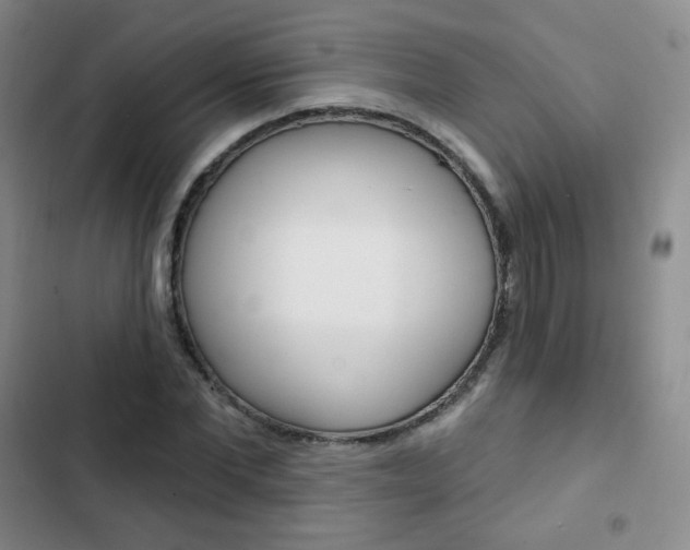 X0000103150877200808221126