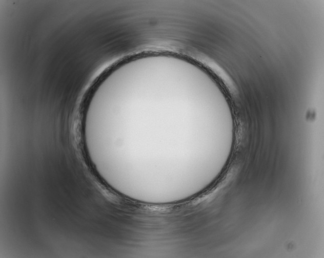 X0000103150878200808221126