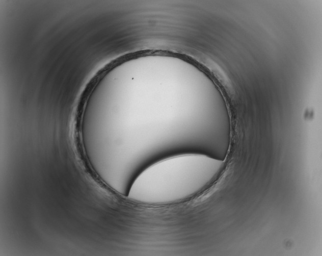 X0000103150880200808221126