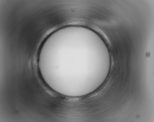 X0000103150882200808221126
