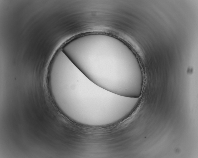 X0000103150883200808221126