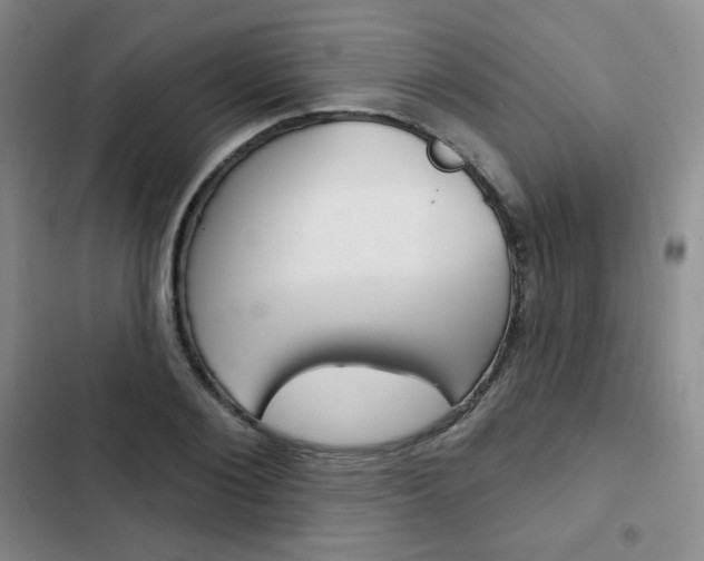 X0000103150884200808221126