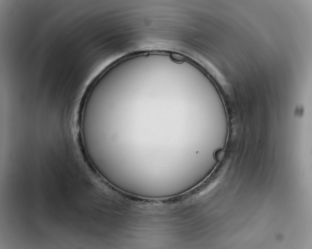 X0000103150885200808221126