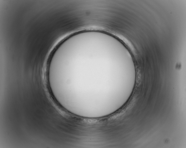 X0000103150886200808221126