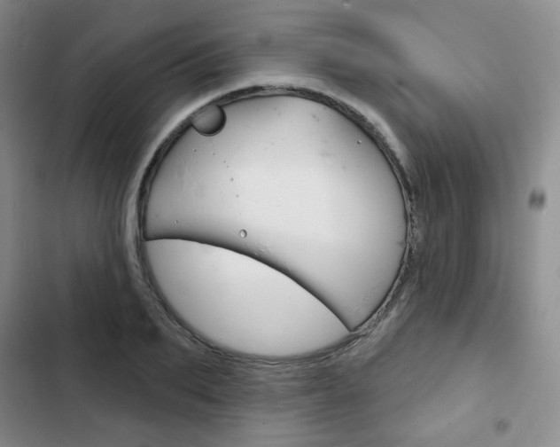 X0000103150887200808221126
