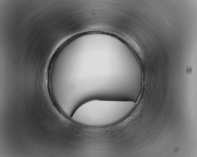 X0000103150888200808221126