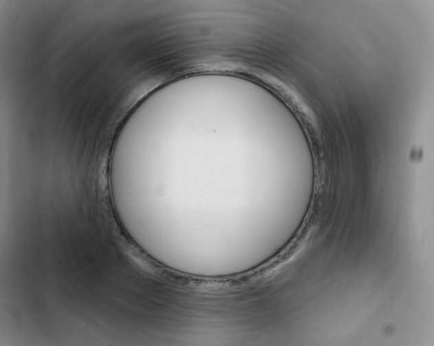X0000103150889200808221126
