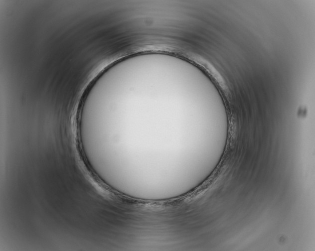 X0000103150890200808221126