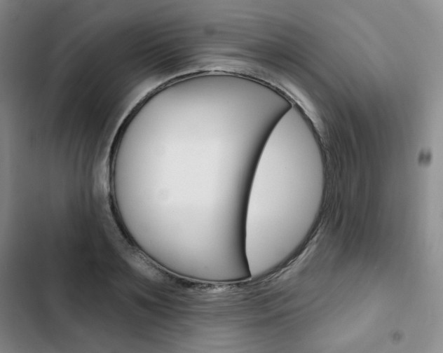 X0000103150891200808221126