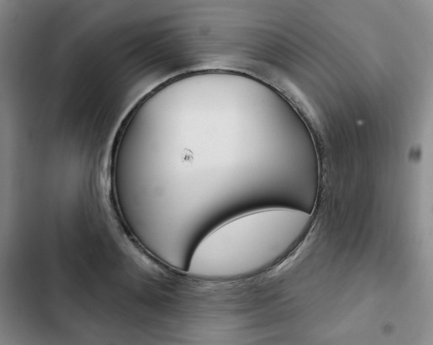 X0000103150892200808221126