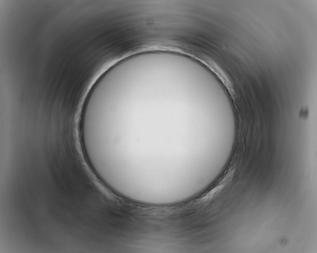 X0000103150893200808221126