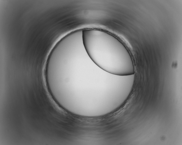 X0000103150895200808221126