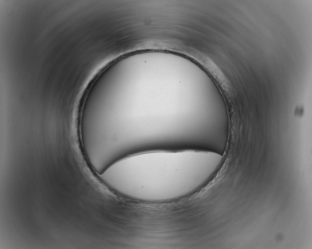 X0000103150896200808221126