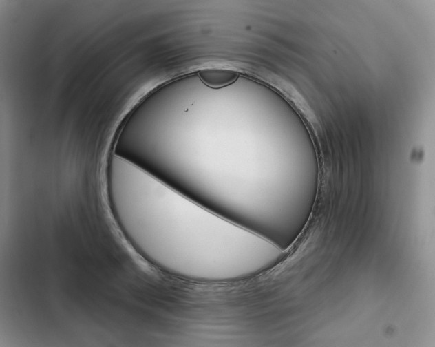 X0000103150898200808221126