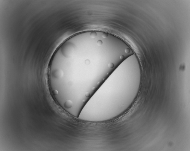 X0000103150899200808221126