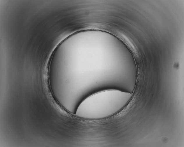 X0000103150900200808221126