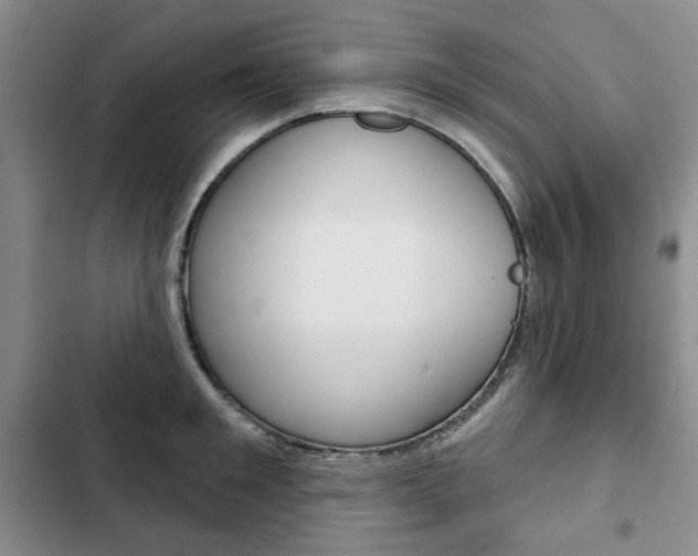 X0000103150901200808221126
