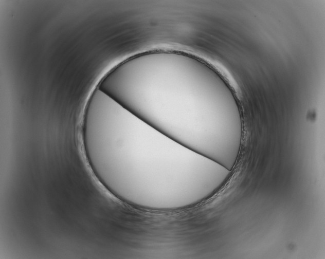 X0000103150903200808221126