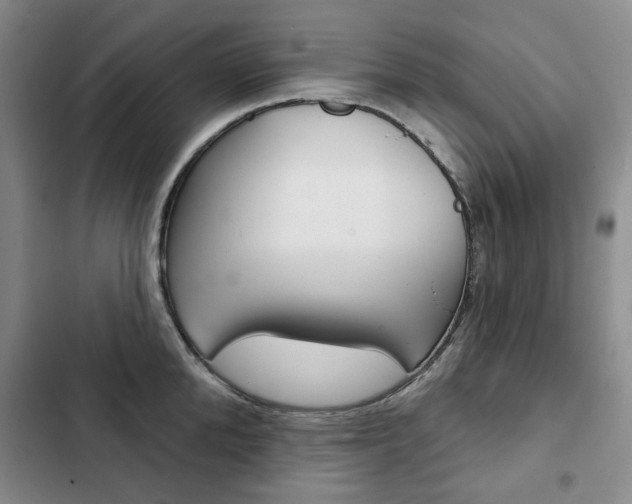 X0000103150904200808221126