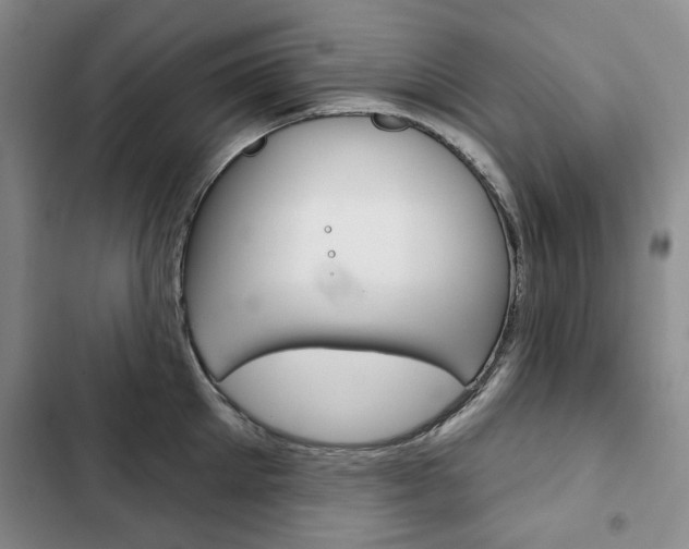 X0000103150905200808221126