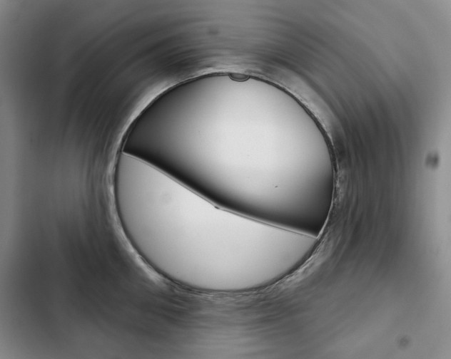 X0000103150906200808221126