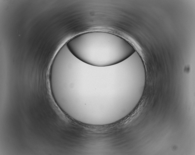 X0000103150907200808221126