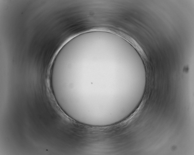 X0000103150908200808221126