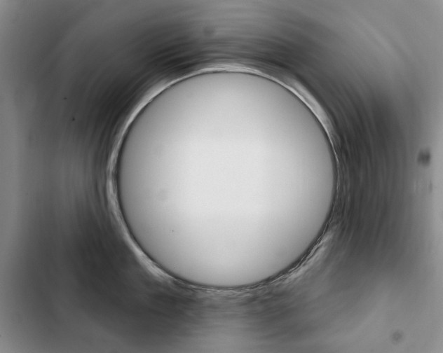 X0000103150909200808221126