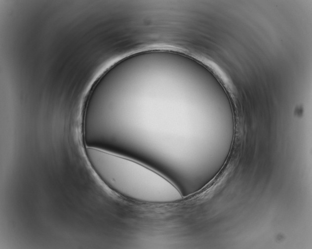 X0000103150910200808221126