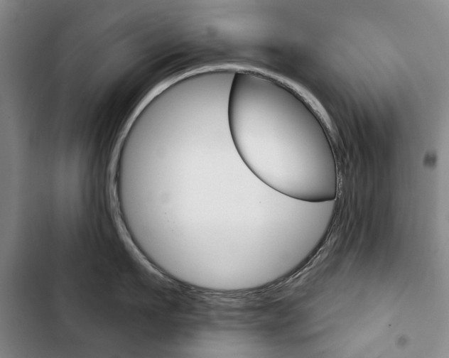 X0000103150911200808221126
