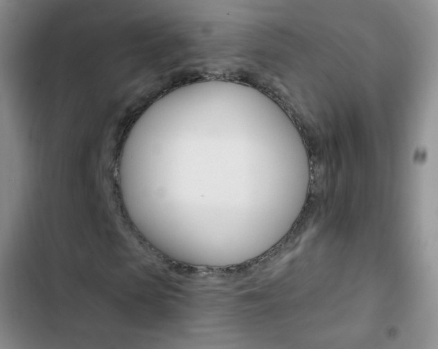 X0000103150913200808221125