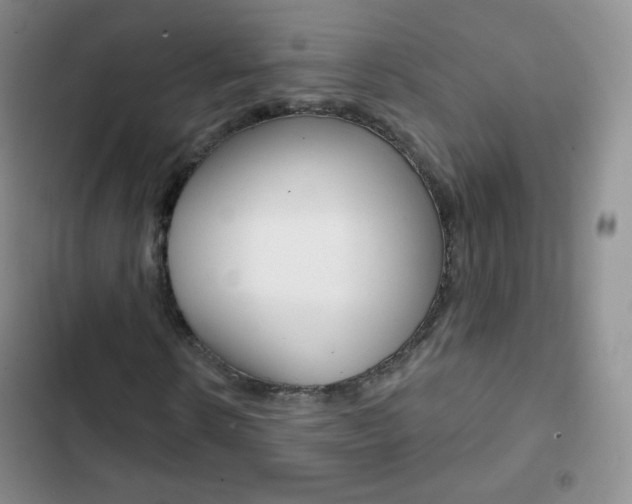 X0000103150914200808221125