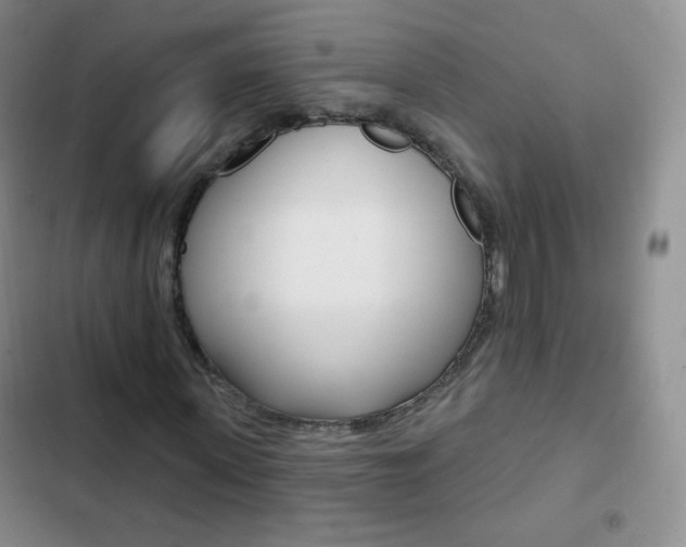 X0000103150915200808221125
