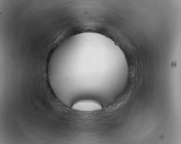 X0000103150916200808221125