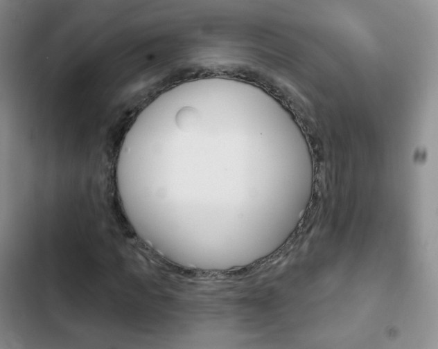X0000103150917200808221125