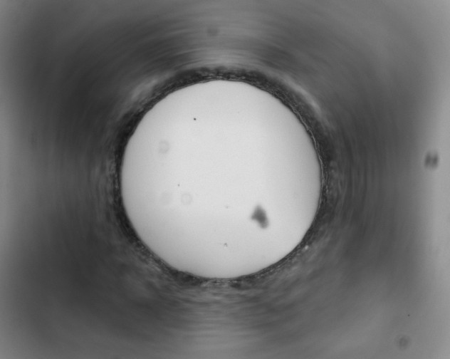 X0000103150918200808221125