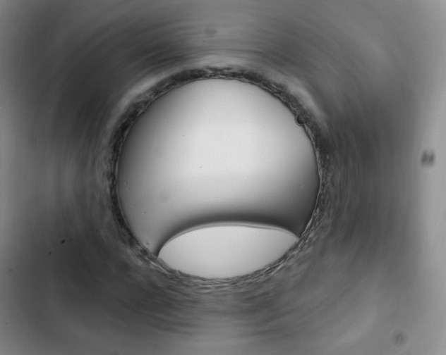 X0000103150920200808221125