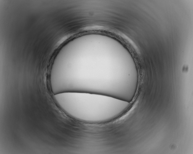 X0000103150921200808221125