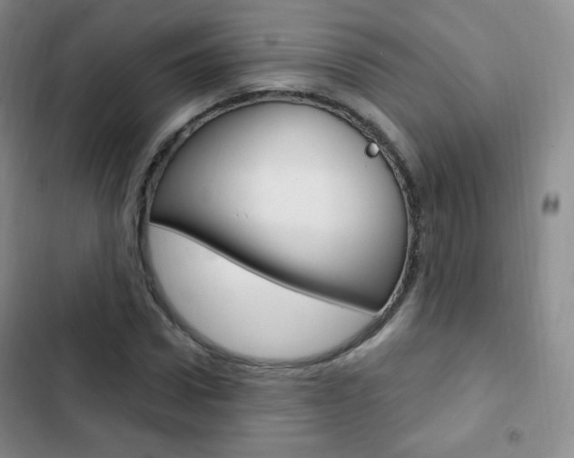 X0000103150922200808221125