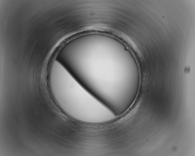X0000103150923200808221125