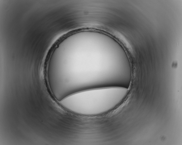X0000103150924200808221125