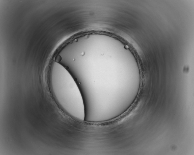 X0000103150925200808221125