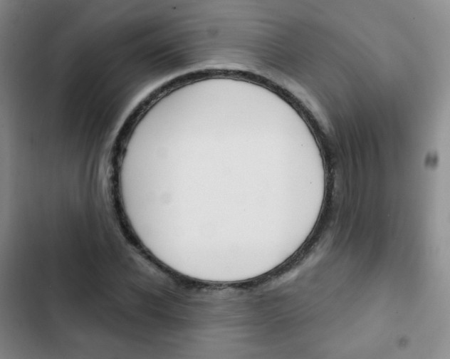 X0000103150926200808221125