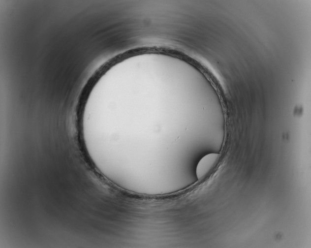 X0000103150927200808221125
