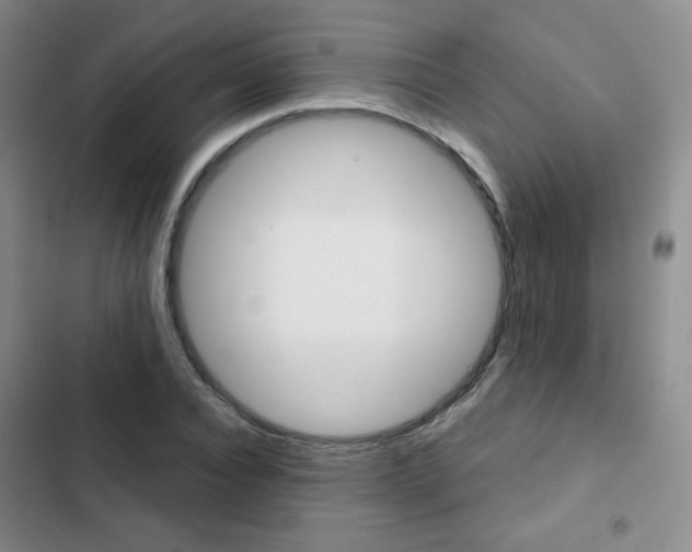 X0000103150928200808221125